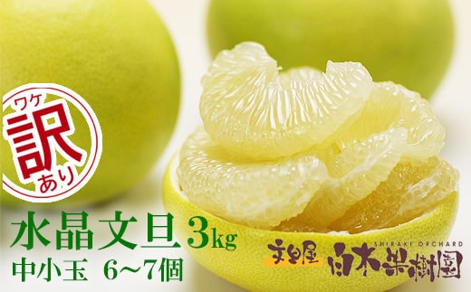 【先行予約】水晶文旦 ご家庭用お得箱 約3kg Lサイズ～２Ｌサイズ （6～7個入り）〈2026年10月上旬～11月上旬頃発送〉 / 訳あり ワケあり 訳 傷 キズ へこみ 文旦 ブンタン ぶんたん 水晶文旦 果物 柑橘【白木果樹園】 [BQAI021]