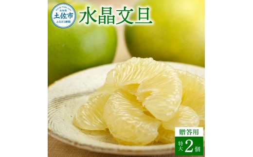 【先行予約】水晶文旦 特選ご贈答用 特大 約1.5kg（2個入）〈2026年10月上旬～11月上旬頃発送〉 / ぶんたん ブンタン 水晶文旦 果物 柑橘 フルーツ 特大サイズ お取り寄せ 特産品 美味しい 高知県産【白木果樹園】 [BQAI020]