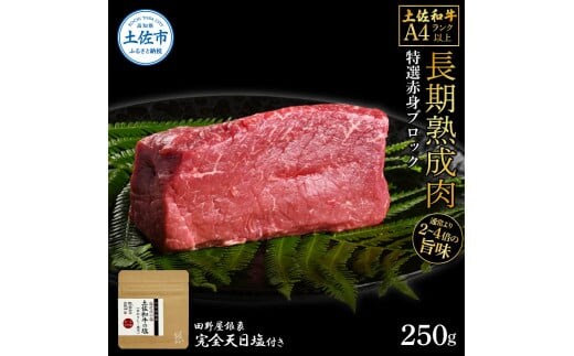 土佐和牛 特選赤身ブロック250g 田野屋銀象完全天日塩1P付き 長期熟成肉 田野屋銀象 完全天日塩付き 赤身 牛肉 ブロック 肉 お肉 和牛 国産 牛 熟成肉 ブロック肉 豪華 贅沢 真空パック