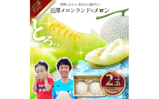 先行予約 メロン ２玉入り（1玉約1.4kg～1.8kg）青肉 2026年春発送 期間限定 メロン めろん マスクメロン 舐瓜 果物 くだもの フルーツ デザート 旬 ハウス栽培 常温配送