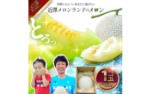 先行予約 メロン １玉入（約1.4kg～1.8kg）青肉 2026年春発送 期間限定 メロン めろん マスクメロン 舐瓜 果物 くだもの フルーツ デザート 旬 ハウス栽培 常温配送