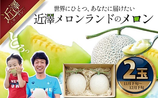 先行予約 メロン ２玉入り（1玉約1.4kg～1.8kg）青肉 2025年冬発送 期間限定 メロン めろん マスクメロン 舐瓜 果物 くだもの フルーツ デザート 旬【株式会社とさもん】 [BQAE023]