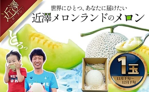 先行予約 メロン １玉入（約1.4kg～1.8kg）青肉 2025年冬発送 期間限定 メロン めろん マスクメロン 舐瓜 果物 くだもの フルーツ デザート 旬 ハウス栽培【株式会社とさもん】 [BQAE022]