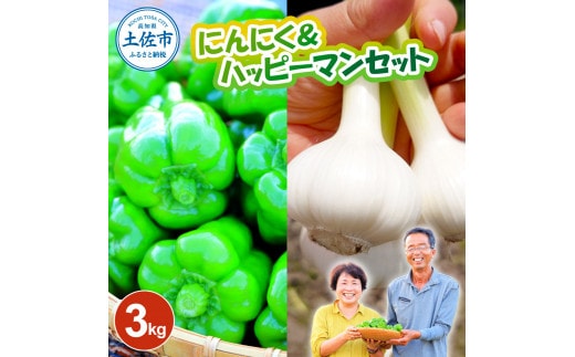 【先行予約】にんにく＆ハッピーマンセット 約3キロ 約3kg〈2026年6月10日～発送〉 ニンニク 自然乾燥にんにく ピーマン 野菜 やさい おかず 副菜 お弁当 新鮮 おいしい 採れたて 国産 訳あり【株式会社 植田ファーム】[BQAT010]