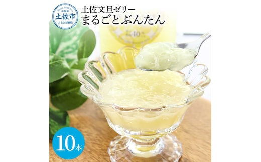 土佐文旦ゼリー『まるごとぶんたん』10本セット ぜりー ブンタン ぶんたん フルーツ 果物 柑橘 みかん お菓子 おかし おやつ デザート スイーツ おいしい 爽やか シャーベット お取り寄せ