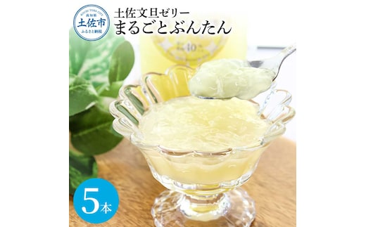 土佐文旦ゼリー『まるごとぶんたん』お試し5本セット ぜりー ブンタン ぶんたん フルーツ 果物 柑橘 みかん お菓子 おかし おやつ デザート スイーツ おいしい 爽やか シャーベット お取り寄せ