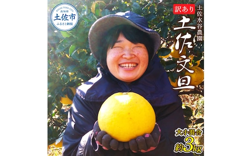 土佐水谷農園の露地土佐文旦 家庭用約3キロ 3kg 大小混合 ぶんたん ブンタン フルーツ 柑橘 みかん 果物 くだもの 柑橘類 デザート おやつ 訳あり わけあり ご家庭用 ご自宅用 旬 食品