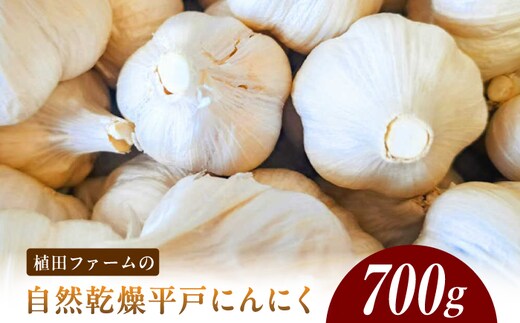 植田ファームの自然乾燥にんにく800g 800グラム ニンニク ガーリック おつまみ お酒 料理 醤油漬け ガーリックオイル ペペロンチーノ パスタ スパゲッティ【株式会社 植田ファーム】 [BQAT004]