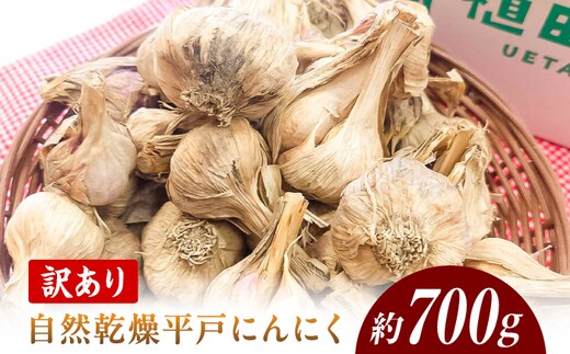 【先行予約】訳あり 植田ファームの自然乾燥にんにく800g〈2026年06月上旬から発送〉 800グラム ニンニク ガーリック お酒 料理 醤油漬け ガーリックオイル ペペロンチーノ パスタ スパゲッティ【株式会社 植田ファーム】[BQAT005]
