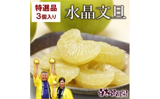 【先行予約】高知県産水晶文旦 特選ご贈答用 2Lサイズ 3個入り〈2026年10月上旬～11月上旬頃発送〉 / ぶんたん ブンタン 水晶文旦 果物 柑橘 フルーツ お取り寄せ 特産品 おいしい【白木果樹園】 [BQAI017]