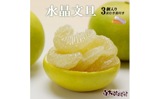 【先行予約】水晶文旦 柑橘皮むき器付き 約1.2kg Lサイズ （3個入り）〈2026年10月上旬～11月上旬頃発送〉 / 文旦 ブンタン ぶんたん 水晶文旦 果物 柑橘 フルーツ 秋 旬 故郷納税 ふるさとのうぜい 返礼品 高知県【白木果樹園】 [BQAI015]