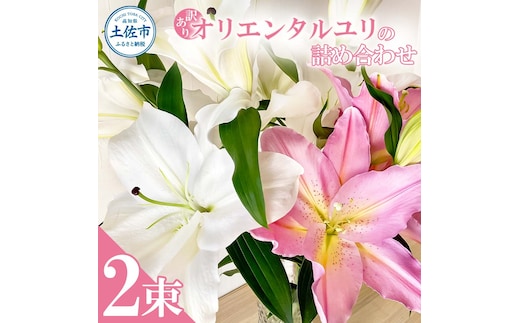 訳あり オリエンタルユリの詰め合わせ 2束(1束4～6本 15輪以上) 花 はな 花束 生花 ゆり 百合 蕾 つぼみ 鑑賞 鑑賞用 白百合 白ゆり 白ユリ 詰め合わせ 国産 家庭用 ご自宅用