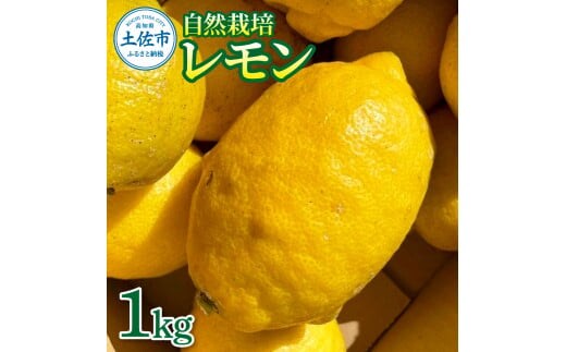 自然栽培レモン1kg