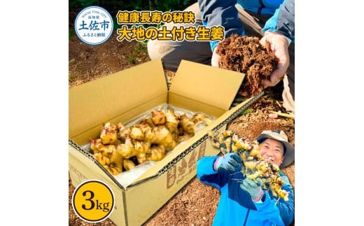 健康長寿の秘訣 大地の土付き生姜3kg 国産 生ショウガ しょうが ショウガ ジンジャー ジンジャーエール ショウガシロップ 生姜焼き 薬味 野菜 料理 健康 生姜湯 新鮮【やの一果彩】 [BQAC041]