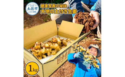 健康長寿の秘訣 大地の土付き生姜1kg 国産 生ショウガ しょうが ショウガ ジンジャー ジンジャーエール ショウガシロップ 生姜焼き 薬味 野菜 料理 健康 生姜湯 新鮮【やの一果彩】 [BQAC039]