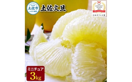 【日本ギフト大賞2024受賞】園主こだわりミニチュア土佐文旦ぶんたん 3kg 10～12玉 〈2027年1月中旬から4月下旬発送〉超小玉土佐文旦 ブンタン フルーツ 柑橘 みかん 果物 柑橘類 デザート プレゼント 高知県 土佐市【やの一果彩】[BQAC025]