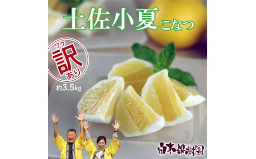 先行予約 ＜白木果樹園＞ 土佐小夏 訳ありご家庭用 約3.5kg 3.5キロ こなつ 柑橘 かんきつ 柑橘類 フルーツ 日向夏 ニューサマーオレンジ 西内小夏 果物 くだもの 果実 デザート おやつ ジュース ジャム 美味しい ご自宅用 訳アリ
