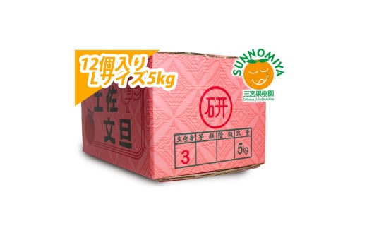三宮果樹園の土佐文旦 ご家庭用Lサイズ 5kg ぶんたん ブンタン 5キロ フルーツ 柑橘 みかん 果物 くだもの 柑橘類 デザート ご自宅用 ご家庭用 自分用 お取り寄せ おいしい【三宮果樹園】 [BQAP008]