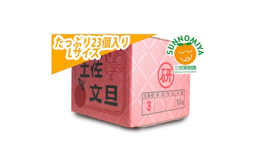 三宮果樹園の土佐文旦 ご家庭用Lサイズ 10kg