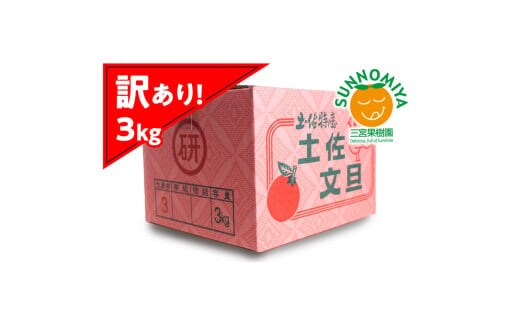 三宮果樹園の土佐文旦 訳あり 3kg ぶんたん ブンタン 3キロ 6玉前後 フルーツ 柑橘 みかん 果物 くだもの 柑橘類 デザート ご自宅用 ご家庭用 自分用 お取り寄せ【三宮果樹園】 [BQAP006]