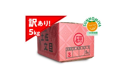 三宮果樹園の土佐文旦 訳あり 5kg ぶんたん ブンタン 5キロ 10玉前後 フルーツ 柑橘 みかん 果物 くだもの 柑橘類 デザート ご自宅用 ご家庭用 自分用 お取り寄せ【三宮果樹園】 [BQAP005]