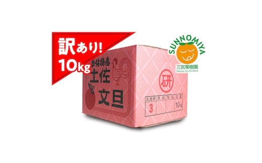三宮果樹園の土佐文旦 訳あり 10kg ぶんたん ブンタン 10キロ 20玉前後