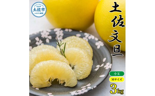農家直送 土佐市産土佐文旦 小玉3kg ３キロ Mサイズ 7～10玉入り 家庭用 訳あり