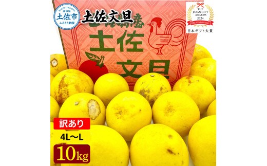 日本ギフト大賞受賞 園主こだわり土佐文旦 訳あり(4L～L）10kg 10キロ 文旦 土佐文旦 ワケアリ ぶんたん ぼんたん フルーツ 果物 柑橘 みかん 蜜柑 家庭用 自宅用【やの一果彩】 [BQAC032]