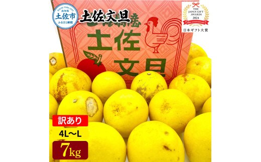 日本ギフト大賞受賞 園主こだわり土佐文旦 訳あり(4L～L）7kg 7キロ 文旦 土佐文旦 ワケアリ ぶんたん ぼんたん フルーツ 果物 柑橘 みかん 蜜柑 家庭用 自宅用 高知【やの一果彩】 [BQAC031]