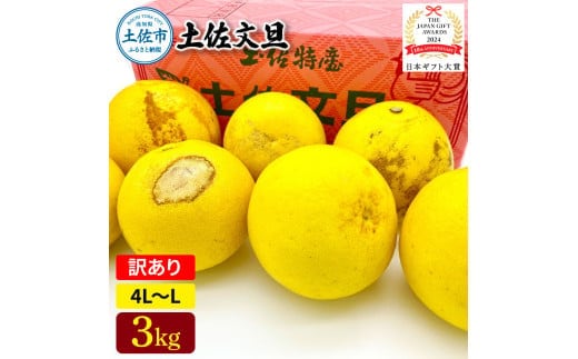 日本ギフト大賞受賞 園主こだわり土佐文旦 訳あり(4L～L）3kg 3キロ 文旦 土佐文旦 ワケアリ ぶんたん ぼんたん フルーツ 果物 柑橘 みかん 蜜柑 家庭用 自宅用 高知【やの一果彩】 [BQAC029]