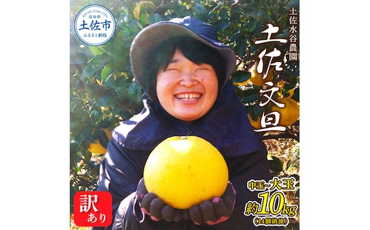本場、高知県土佐市産！土佐水谷農園の露地土佐文旦 家庭用10キロ 10kg 中玉～大玉（3L～上限なし：14玉前後）皮むき器付き 訳あり 文旦 ぶんたん ブンタン 土佐文旦 ご自宅用 柑橘 フルーツ 果物 土佐 高知