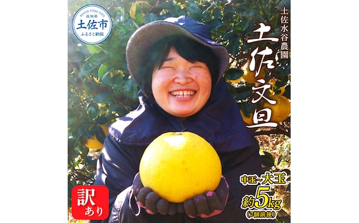 本場、高知県土佐市産！土佐水谷農園の露地土佐文旦 家庭用5キロ 5kg 中玉～大玉（3L～上限なし：7玉前後）皮むき器付き 訳あり 文旦 ぶんたん ブンタン 土佐文旦 ご自宅用 柑橘 フルーツ 果物 土佐 高知