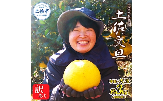 本場、高知県土佐市産！土佐水谷農園の露地土佐文旦 家庭用3キロ 3kg 中玉～大玉（3L～上限なし：4玉前後）皮むき器付き 訳あり 文旦 ぶんたん ブンタン 土佐文旦 ご自宅用 柑橘 フルーツ 果物 土佐 高知