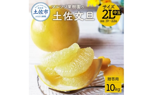 【先行予約】マルツジ果樹園の土佐文旦 贈答用(中玉) 約10kg 10キロ 2Lサイズ 19～22個入り ぶんたん ブンタン フルーツ 柑橘 みかん 果物 くだもの 柑橘類 デザート お取り寄せ 国産
