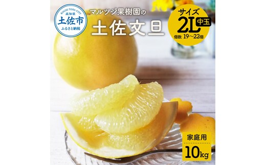 【先行予約】マルツジ果樹園の土佐文旦 家庭用(中玉) 約10kg 10キロ 2Lサイズ 19～22個入り ぶんたん ブンタン フルーツ 柑橘 みかん 果物 くだもの 柑橘類 デザート お取り寄せ 国産