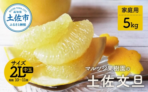 【先行予約】マルツジ果樹園の土佐文旦 家庭用(中玉) 約5kg 5キロ 2Lサイズ 10～11個入り 〈2027年2月1日から3月31日頃発送〉/ ぶんたん ブンタン フルーツ 柑橘 みかん 果物 くだもの 柑橘類 デザート お取り寄せ 国産