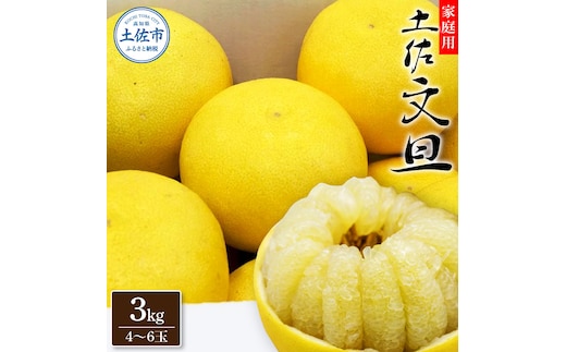 生産者直送 土佐文旦3.0kg[2L～4L]家庭用 【2026年1月下旬より発送】 家庭用 文旦 柑橘 みかん フルーツ 果物 産地直送 お取り寄せ 人気 美味しい 名産 ふるさと納税 送料無料 返礼品 高知県 高知