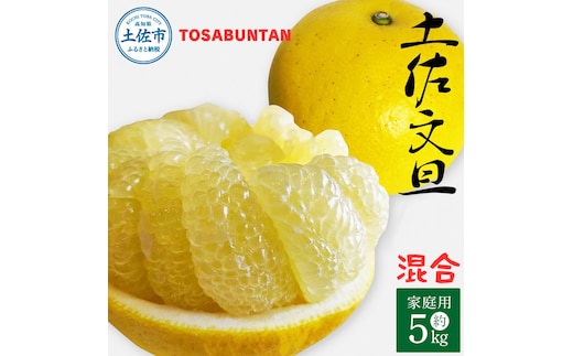＜2026年1月下旬より順次発送＞土佐文旦 家庭用 5kg 8～13玉入り L～3Lサイズ混合 先行予約 文旦 ぶんたん ブンタン 柑橘 フルーツ デザート 果物 ご当地 人気 名産 お取り寄せ 土佐 高知 土佐市