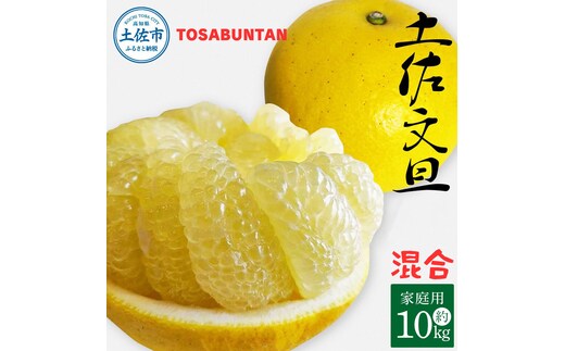 ＜2026年1月下旬より順次発送＞土佐文旦 家庭用 10kg 17～24玉入り L～3Lサイズ混合 先行予約 文旦 ぶんたん ブンタン 柑橘 フルーツ デザート 果物 ご当地 人気 名産 お取り寄せ 土佐 高知 土佐市