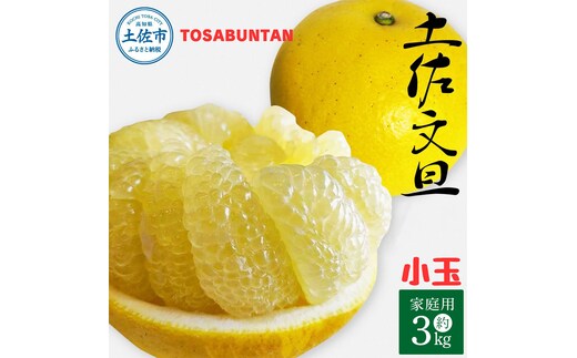 ＜2026年1月下旬より順次発送＞土佐文旦 小玉 家庭用 3kg 7～9玉入り M～Lサイズ 先行予約 文旦 ぶんたん ブンタン 柑橘 フルーツ デザート 果物 ご当地 人気 名産 お取り寄せ 土佐 高知 土佐市