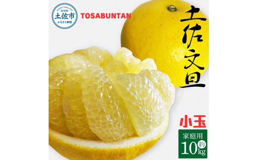 ＜2026年1月下旬より順次発送＞土佐文旦 小玉 家庭用 10kg 23～29玉入り M～Lサイズ 先行予約 文旦 ぶんたん ブンタン 柑橘 フルーツ デザート 果物 ご当地 人気 名産 お取り寄せ 土佐 高知 土佐市