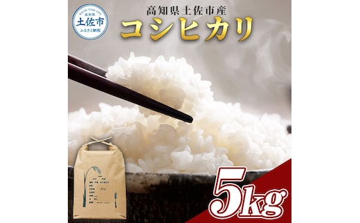 コシヒカリ 5kg 5キロ 精米 白米 お米 ご飯 ごはん 米 kome こめ こしひかり 高知県産 国産 お取り寄せ 常温 高知県 高知 土佐市