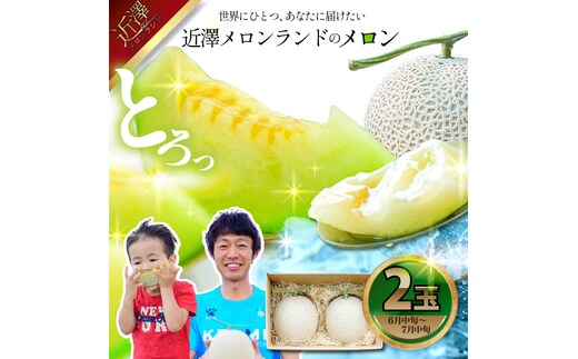 先行予約 メロン ２玉入り（1玉約1.4kg～1.8kg）青肉 2026年夏発送 期間限定 メロン めろん マスクメロン 舐瓜 果物 くだもの フルーツ デザート 旬 ハウス栽培 常温配送