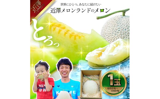 先行予約 メロン １玉入（約1.4kg～1.8kg）青肉 2026年夏発送 期間限定 メロン めろん マスクメロン 舐瓜 果物 くだもの フルーツ デザート 旬 ハウス栽培 常温配送