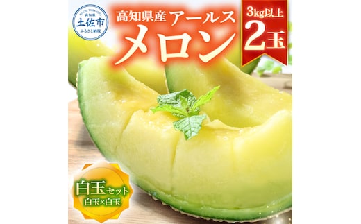 高級土佐アールスメロン2玉入り メロン めろん 白玉セット 白玉×白玉 3kg以上 舐瓜 果物 くだもの フルーツ デザート スイーツ おやつ 高級 常温 配送