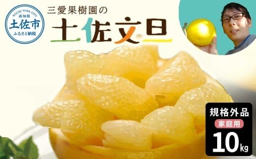 文旦 約10kg 10キロ L～4Lサイズ 土佐文旦 みかん 柑橘 ぶんたん ブンタン 果物 フルーツ デザート おやつ 三愛果樹園の土佐文旦 おいしい 美味しい【三愛果樹園】 [BQAO013]