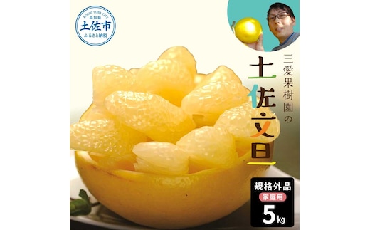 文旦 約5kg 5キロ L～4Lサイズ 