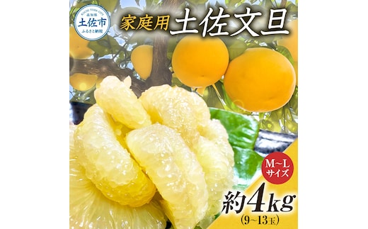 文旦 約4kg M～Lサイズ 9～13玉 ぶんたん ブンタン フルーツ 柑橘 みかん 果物 くだもの 柑橘類 デザート 家庭用 プレゼント ギフト お取り寄せ 国産 常温 配送