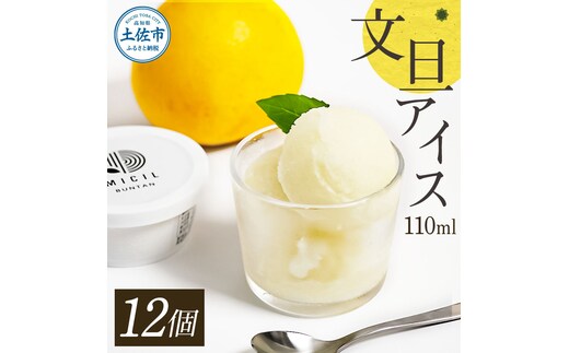 文旦アイス 12個入り 1個110ml ブンタン ぶんたん フルーツ 果物 柑橘 みかん お菓子 おかし おやつ デザート スイーツ ギフト おいしい 爽やか シャーベット お取り寄せ 冷凍 配送