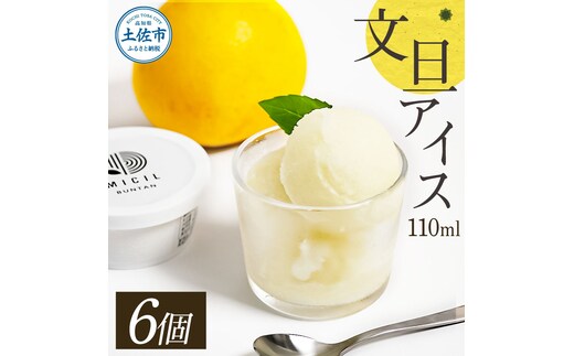 文旦アイス 6個入り 1個110ml ブンタン ぶんたん フルーツ 果物 柑橘 みかん お菓子 おかし おやつ デザート スイーツ ギフト おいしい 爽やか シャーベット お取り寄せ 冷凍 配送